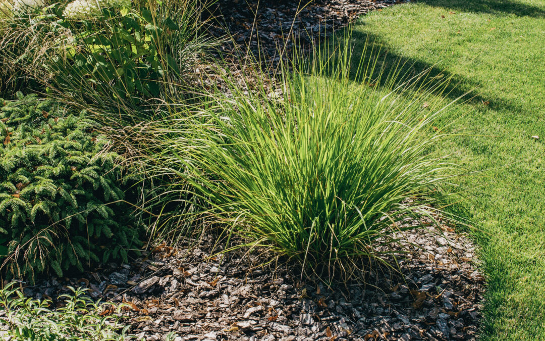 Mulchen: Je Tuin Een Winterjas Geven