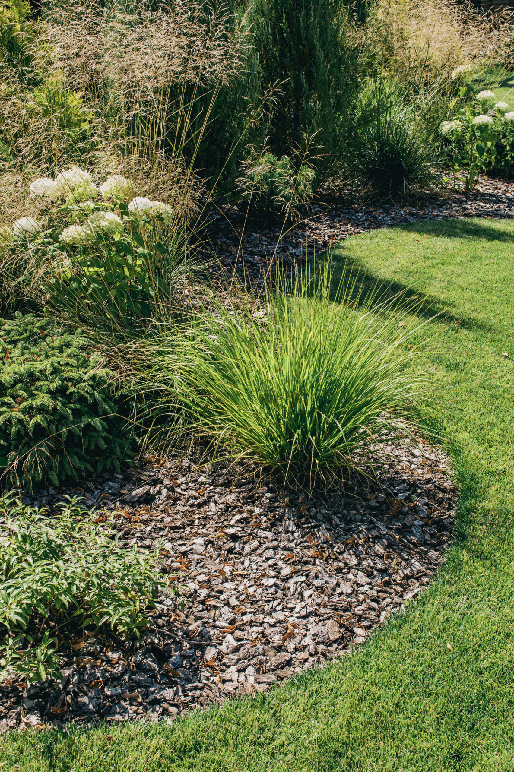 Mulching: Giving Your Garden a Winter Coat