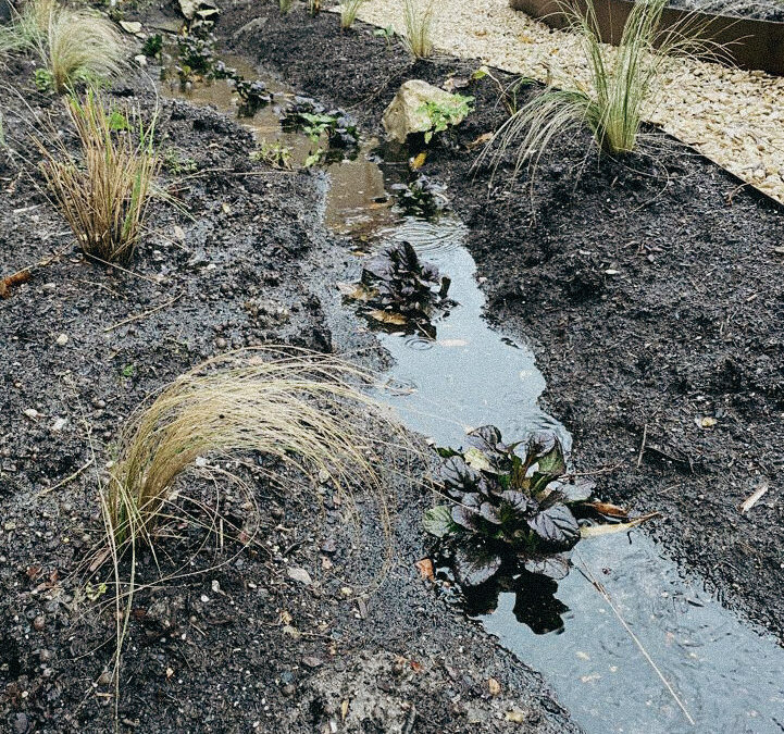 Maak jouw tuin regen- en droogteproof met een wadi!