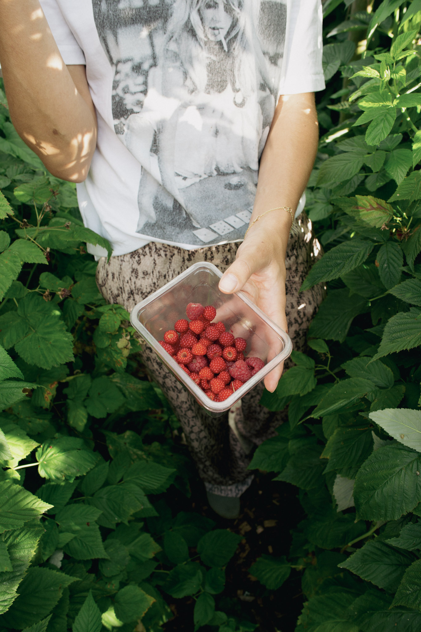 Plukken, proeven en plezier: welkom in de eetbare tuin!