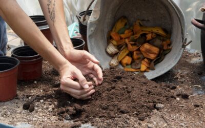 Composteren: je eigen ecologische goudmijn voor de tuin