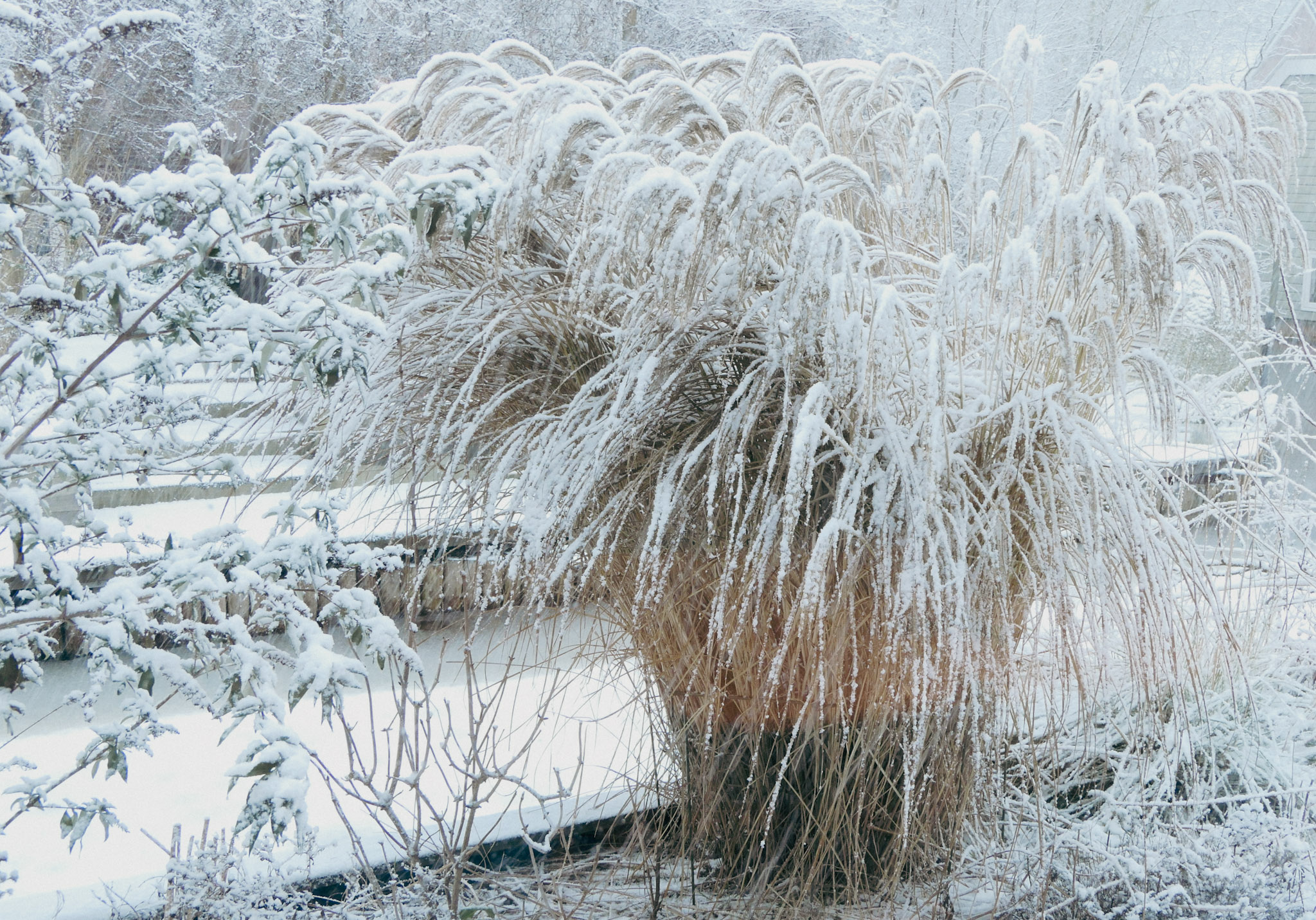 De lente is in aantocht! Tijd om je tuin voorjaars-klaar te maken 🌿✨