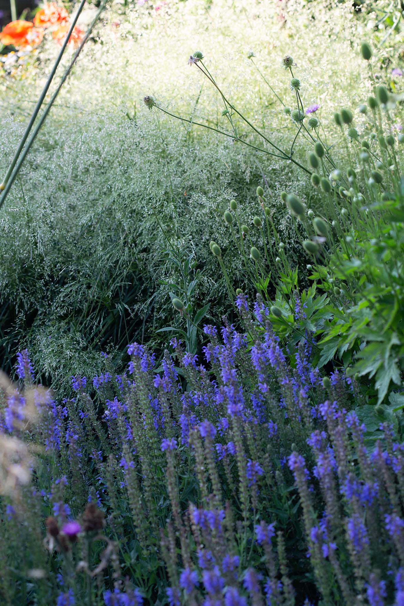 5-de-landelijke-tuin-van-200-m2