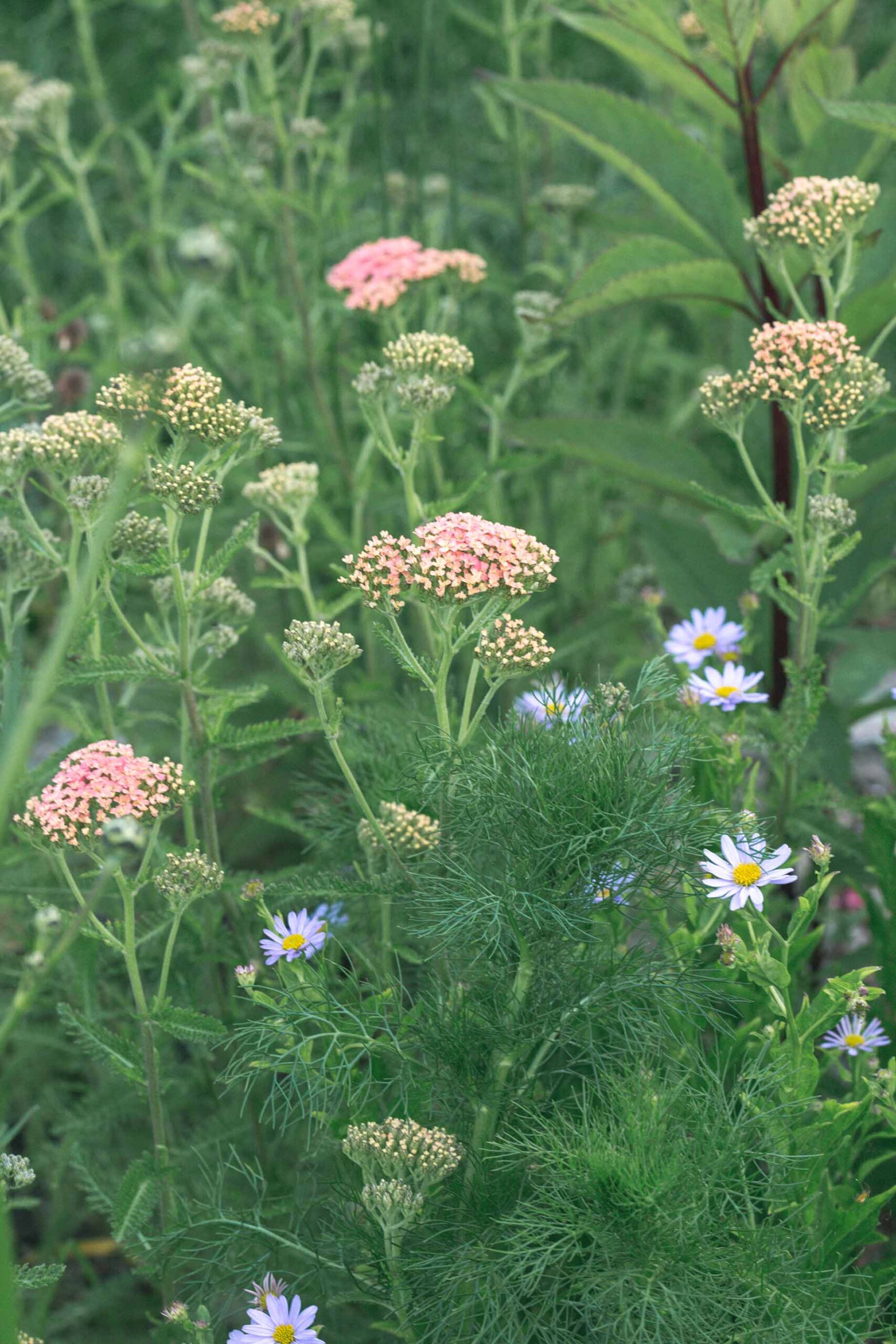 7-de-landelijke-tuin-van-2000-m2