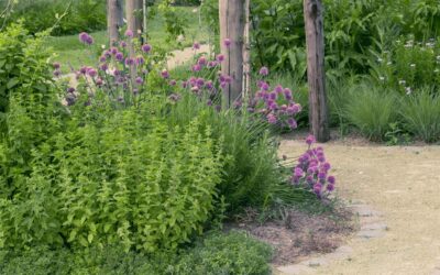 De Romantische tuin van 2000 m2